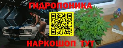 ALPHA PVP Камышлов