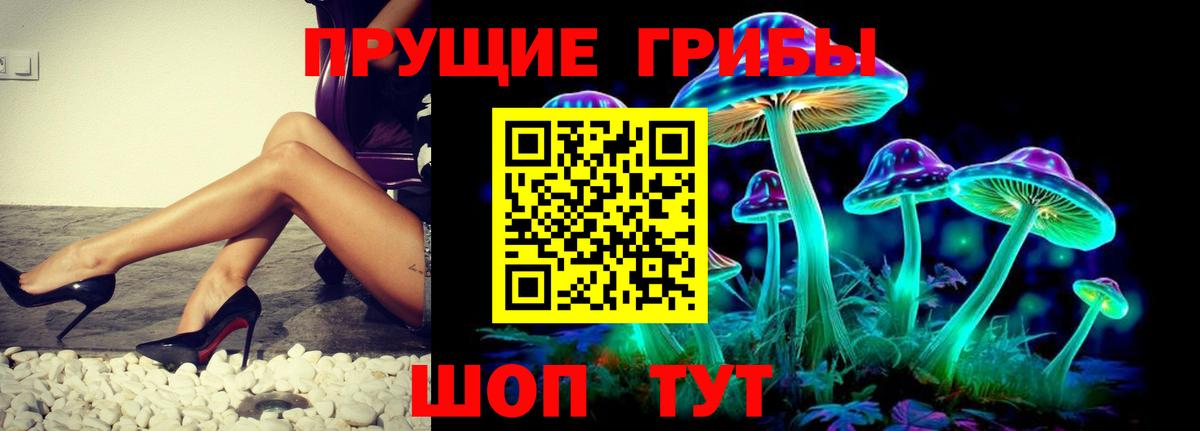 Галлюциногенные грибы MAGIC MUSHROOMS  Вход с VPN  сколько стоит  Махачкала 